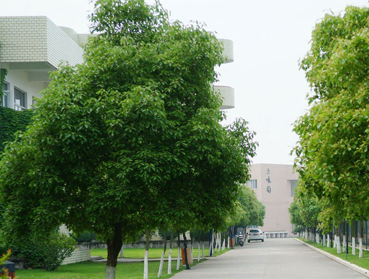 温州市苍南县宜山高级中学